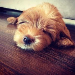 Meet your Posher, Jim